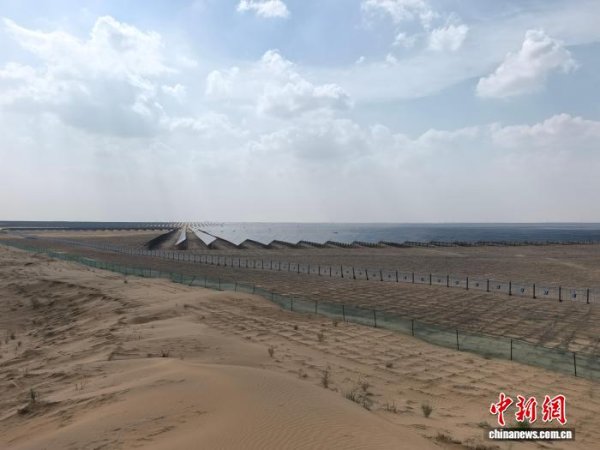 星火牛 （活力中国调研行）绿进沙退的阿拉善答卷