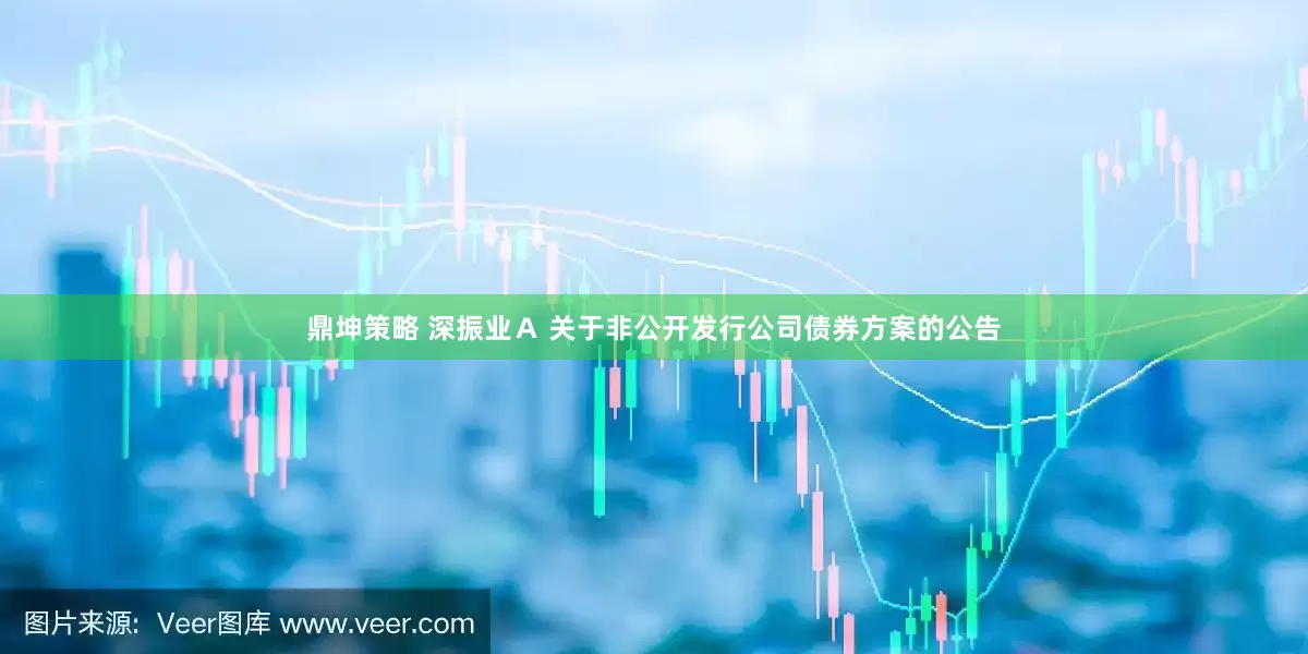 鼎坤策略 深振业Ａ 关于非公开发行公司债券方案的公告